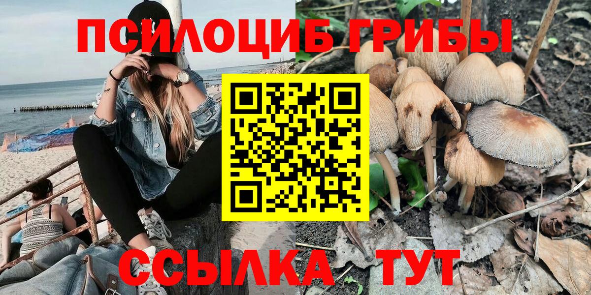 Псилоцибиновые грибы ЛСД  Вход с VPN  Псилоцибиновые грибы MAGIC MUSHROOMS  Усть-Лабинск 